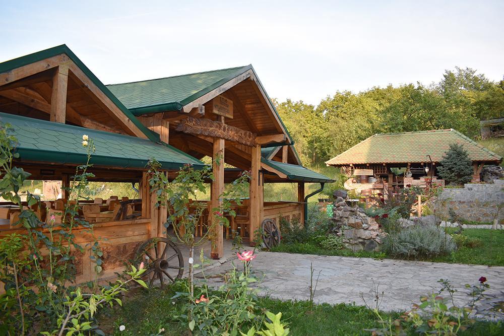 Apartament Fruskogorska Terasa Nowy Sad Zewnętrze zdjęcie